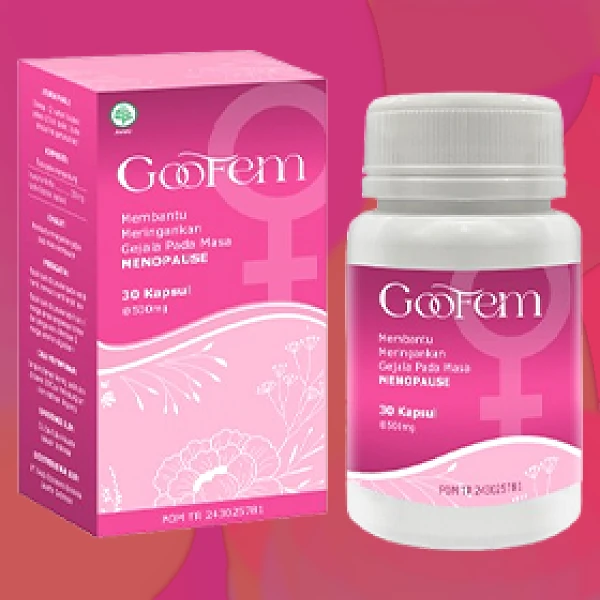 GOOFEM
